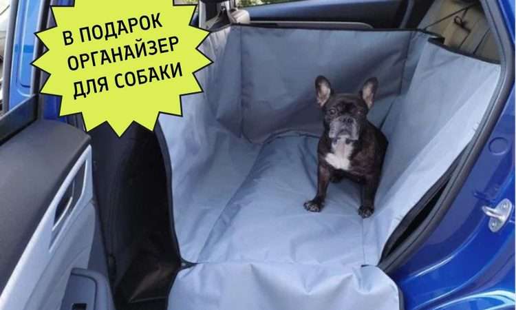 Автогамак в салон автомобиля: защита и комфорт для питомца