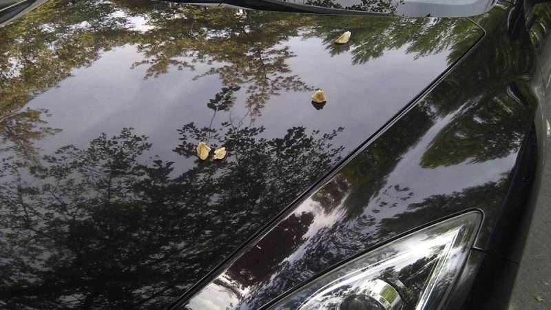 Древесная смола на кузове автомобиля