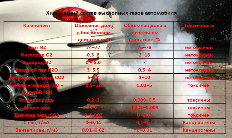 На какую высоту поднимаются выхлопные газы от автомобилей