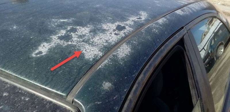 Трещина краски на кузове автомобиля: причины, виды и способы устранения