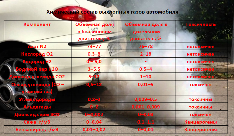 На какую высоту поднимаются выхлопные газы автомобилей