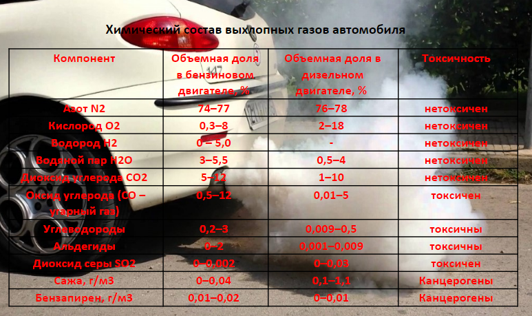На какую высоту поднимаются выхлопные газы автомобилей